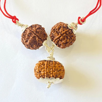 7,8 & 13 Mukhi Rudraksha Combination For (sales executives/brokers/ traders)