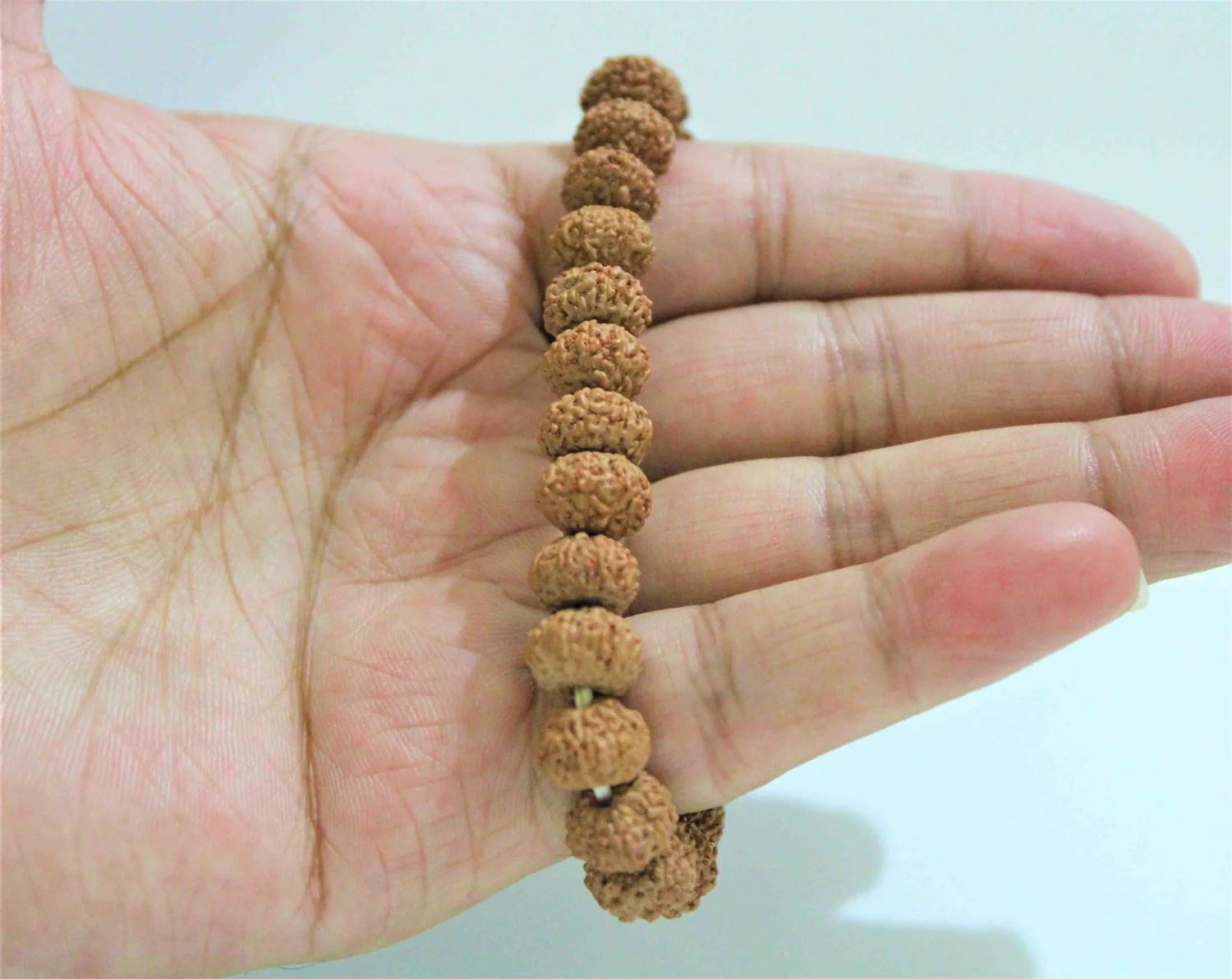 9 Mukhi Rudraksha Bracelet (Indonesian Origin) - Image 2