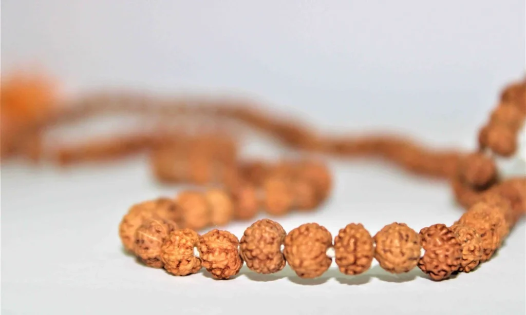 Natural 7 Mukhi Rudraksh Mala -Indonesian Origin (108+1) Beads