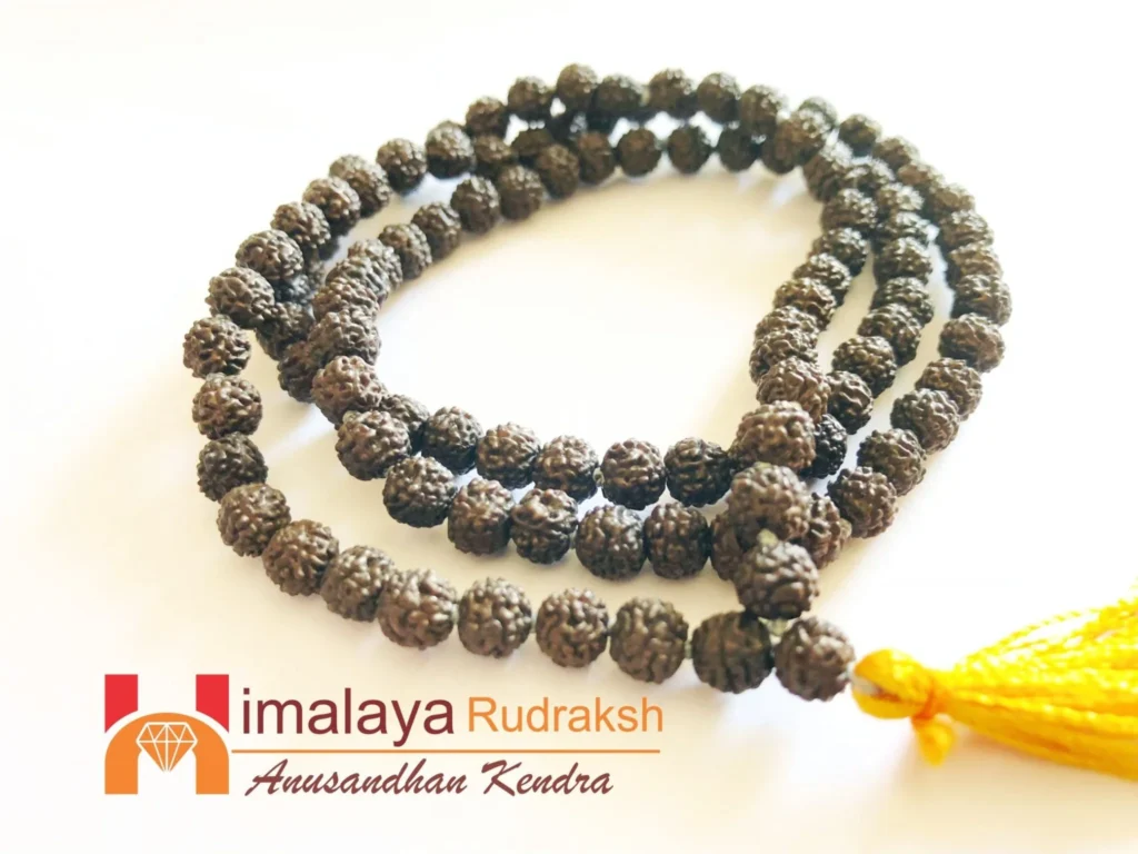 Divy 5 Mukhi Black Rudraksha Mala