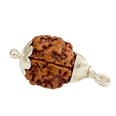 Natural 3 Mukhi Rudraksha (Nepal Origin)